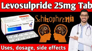 Levosulpiride tablets 25 mg in hindi  Levosulpiride 25 mg tablet  Lesuride 25 mg tablet uses 🔥🔥🔥 [upl. by Isdnil]