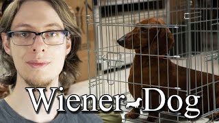 WienerDog  Movie Review [upl. by Penn]