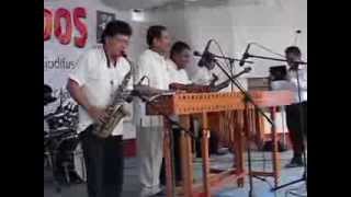 MARIMBA ORQUESTA TROPICAL quotSANTA ROSAquot [upl. by Anaek]