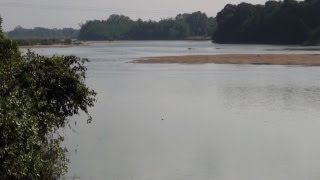 Kaveri River the sacred river of South India [upl. by Nnylharas392]