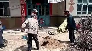 Acrobatic Chinese builders and concreters  absolutely brilliant [upl. by Hutner37]