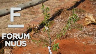 Forum Nuus AfriForum wil 1 000 bome in September plant 03092024 [upl. by Zeuqirdor]