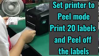 Gainscha Peeler Printer  Load print media amp Print labels amp Peel off labels 完整版 [upl. by Oeht48]