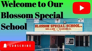 Welcome to Our Blossom Special School Classroom activities [upl. by Rowell534]