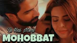 Tu Hai Meri Mohobbat Song  Official video  Mohobbat Song songs trendingsong music funny [upl. by Traweek]