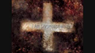 Martin Grech  I Am Chromosome [upl. by Lehcsreh]