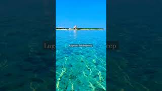 Lakshadweep vlogs [upl. by Enenstein]