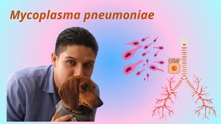 Mycoplasma pneumoniae [upl. by Oran136]