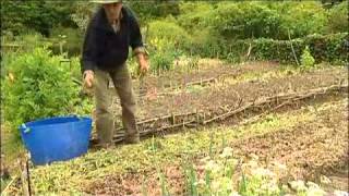 Jardin du MaraisYves Gillen jardinage sans travail du sol Sous titre en Français [upl. by Calabrese]