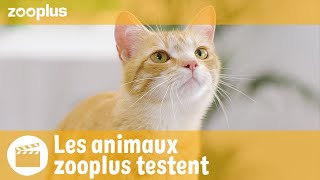 Nils  Les animaux zooplus testent PRO PLAN Liveclear Sterilised Adult [upl. by Jennette]