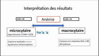 hémogramme ou numération formule sanguine [upl. by Alver]