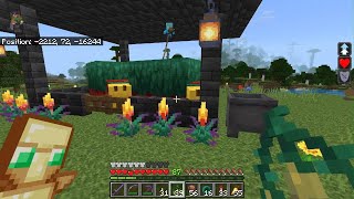 Allays greating me with morning seeds  Minecraft [upl. by Latton]