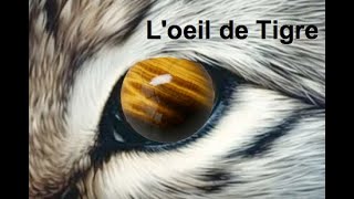 La formation de loeil de Tigre  et dérivés [upl. by Aibar545]