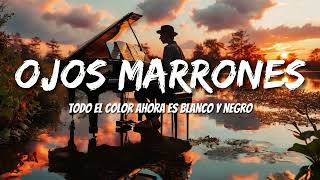 Lasso  Ojos Marrones LetrasLyrics [upl. by Maxey]