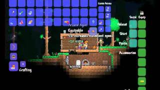 Terraria  11 Item  Arcane Aglet [upl. by Crutcher]