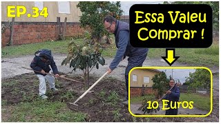 Começamos A Plantar As Frutas E Fazer Mais Canteiros Ferramenta Nova Surpreendeu [upl. by Bal555]