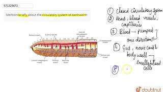 Mention briefly about the circulatory system of earthworm  CLASS 11  STRUCTURAL ORGANISATION [upl. by Erialc]