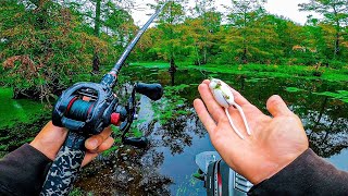 TOPWATER HEAVEN Instant Action In Bass Fishing Tournament At My Favorite Lake [upl. by Eedna]