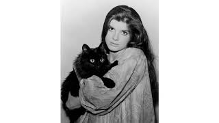 Katharine Ross Biography [upl. by Leveroni]