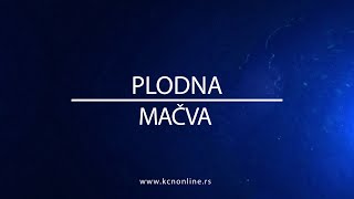 PLODNA MACVA EMISIJA 16 [upl. by Sert]