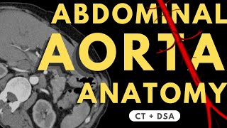 Abdominal Aorta and Branches  Radiology anatomy part 1 prep  How to read CTA  DSA [upl. by Mohandas]