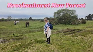 Brockenhurst New Forest [upl. by Nywled]