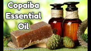 Copaiba Essential Oil The Magnifier Oil  Amazing Uses for The Skin Plus Other Benefits and Recipes [upl. by Dyl239]