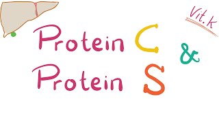 Protein C and Protein S  Inhibitors of coagulation  Protein C Deficiency Protein S Deficiency [upl. by Funk3]