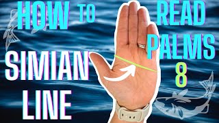 HOW TO READ YOUR OWN PALMS 8 Simian Line Explained By Intuitive Consultant [upl. by Ydolem]