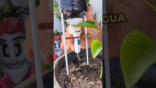 RIEGO DE GOTEO CASERO huerto jardin jardinería tips tutorial agricola us agro riegoporgoteo [upl. by Wilkison]