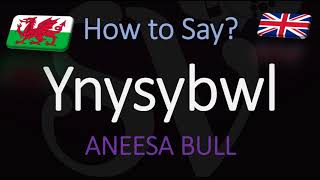 How to Pronounce Ynysybwl CORRECTLY Welsh Village Pronunciation [upl. by Aelyk]