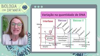 Qual é a variação de quantidade de DNA durante a Meiose [upl. by Pete]