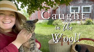 Podcast Caught in the Wool Ep 54 Afternoon in the Summer Sun ☀️ 🧶 [upl. by Picker]