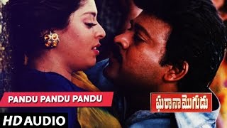 Gharana mogudu Songs  PANDU PANDU PANDU song  Chiranjeevi  Nagma  Telugu Old Songs [upl. by Wallache]