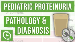 What is Proteinuria and how to diagnose it  Lecturio Pediatrics [upl. by Anastas114]