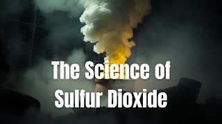 Maximising Yields The Science of Sulfur Dioxide [upl. by Boelter]