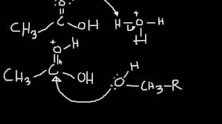 Esterification Mechanism making an ester from a carboxylic acid and an alcohol [upl. by Akyre224]