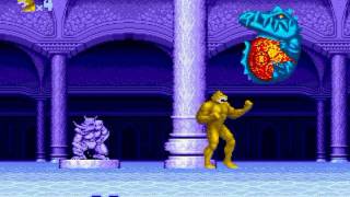 Altered Beast Sega Mega Drive 5  Stage 4  WereTiger [upl. by Nor]