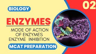 Mcat Biology Class 2  MODE OF ACTION OF ENZYMES AND ENZYMES INHIBITION [upl. by Mazman]