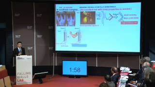 Liu Huihong  Breaking the Wall of Metallic Biomaterials Falling Walls Lab 2014 [upl. by Redwine]