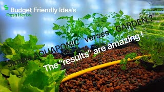 Aquaponics versus Gardening  Tips amp Illustration [upl. by Bone526]