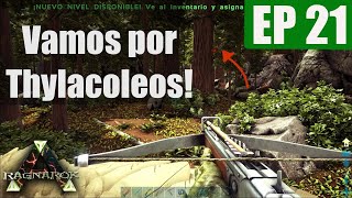 Ark Ragnarok Ep21  Así se Tamea Thylacoleos el mejor dino de Ark  DannySky [upl. by Ecnaret]