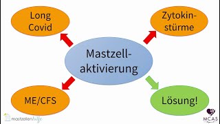 Gesundheitspolitik aktuell  Das Mastzellaktivierungssyndrom MCAS SEB Zweiter Termin [upl. by Zacherie]