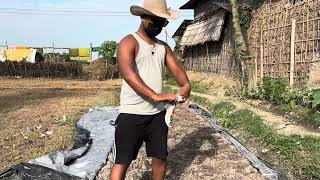 Nursery bed preparation for vegetables 🥗 seedlings 🌱 in my [upl. by Gniy]