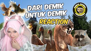 Reaction DEMIK ANIMAL Lagi [upl. by Anawed]