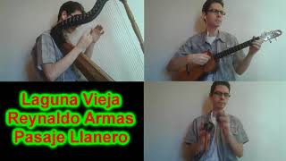 Laguna Vieja Cover en Arpa Cuatro y Maracas [upl. by Mollee]