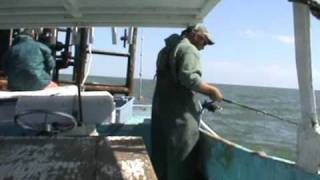 COMMERCIAL FISHING FOR SHEEPSHEAD WITH CANE POLES AND ROD AND REEL [upl. by Higley]