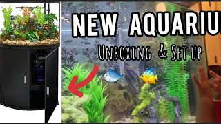 Bow Front Aquarium amp Stand  UNBOXING amp ASSEMBLY Newbie Aquarium Keeper  36 Gallon Fish Tank [upl. by Dhruv143]