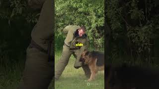 The most DANGEROUS DOGS ON EARTHdogs viralvideo scary [upl. by Holcomb]