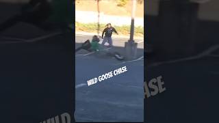 Wild Goose Chase funny animals like subscribe [upl. by Hgierb]